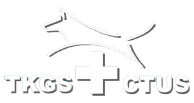 TKGS-Logo